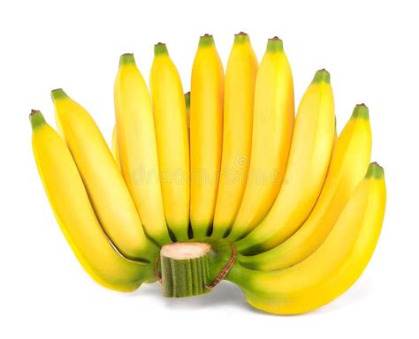 Bunch Of Banana Isolated On The White Background Stock Image - Image of tropical, macro: 113962091