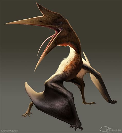 Quetzalcoatlus | Dinopedia | FANDOM powered by Wikia