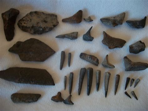 cretaceous finds