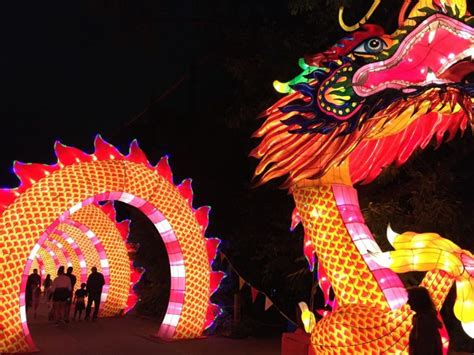 The Asian Lantern Festival shines at the Cleveland Metroparks Zoo – The Observer