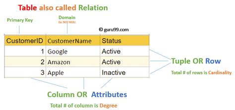 Relational Data Model in DBMS | Database Concepts & Example