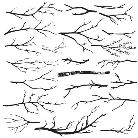 Set of hand-drawn wood branches vector art illustration | Branch drawing, Tree drawing, Free ...