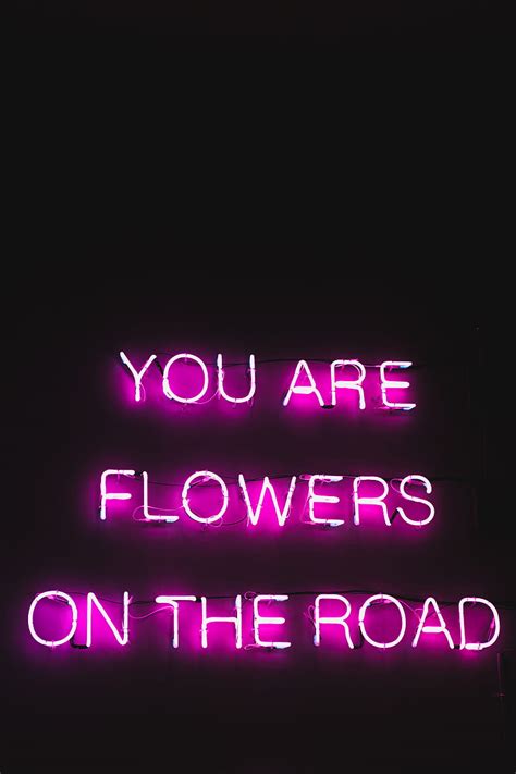 1920x1080px, 1080P free download | Pink color neon glowing text with poetic and inspiring words ...