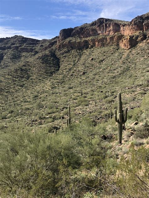 Pass Mountain Trail - Arizona | AllTrails