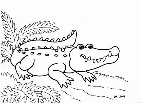 Crocodile Pictures To Colour In - Coloring Home