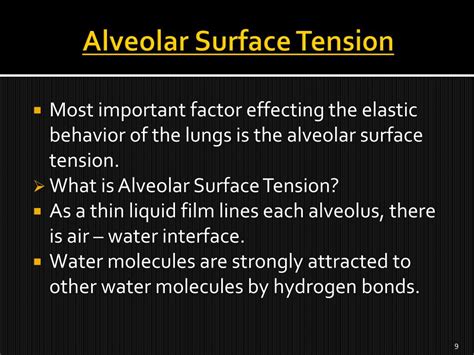 PPT - Elasticity of Lungs, Compliance , Alveolar Surface Tension, Pulmonary Surfactant ...