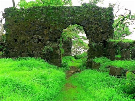 Birdwatching In Karnala Bird Sanctuary, India • Travel Tips