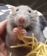 Eating GIF - Find & Share on GIPHY