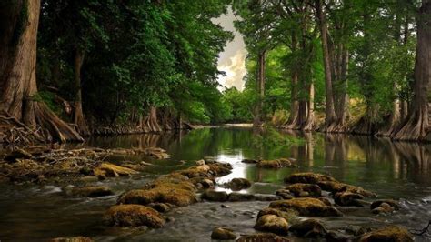 River 1366 x 768 Wallpaper. | Nature desktop, Hd nature wallpapers ...