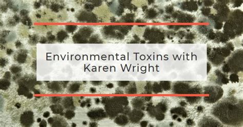 Environmental Toxins and How to Be Safe (With Karen Wright)