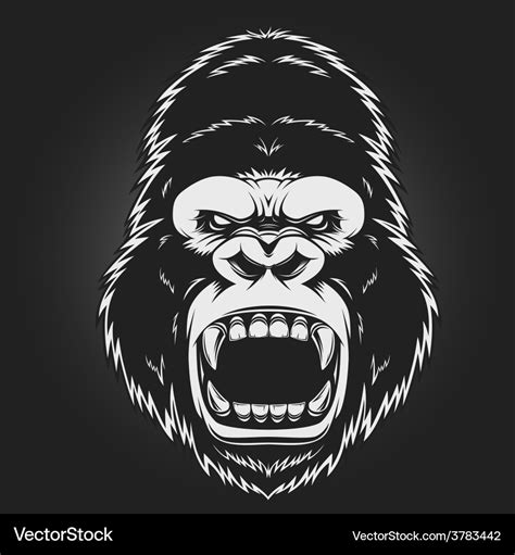 Angry gorilla head Royalty Free Vector Image - VectorStock