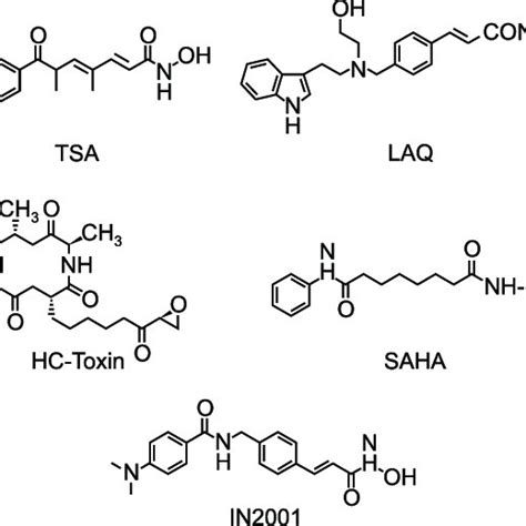 Structures of HDAC inhibitors. | Download Scientific Diagram