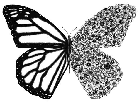 Flower Butterfly Drawing by Rocky Villaruel - Pixels