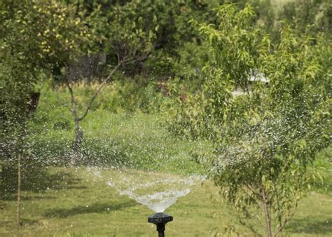 ..Lawn Watering System. Irrigation of Green Grass. Sprinkler for the Garden Stock Image - Image ...