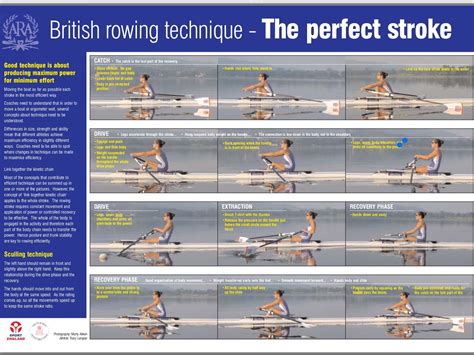 Sculling technique | Rowing technique, Rowing, Techniques