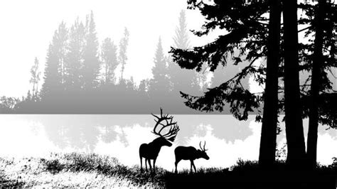 Black And White Lake Illustrations, Royalty-Free Vector Graphics & Clip ...