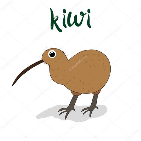 Kiwi Bird Drawing at GetDrawings | Free download