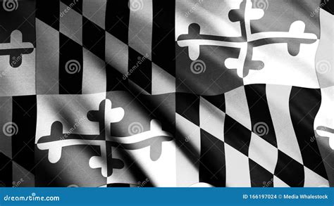 Close Up of an the Abstract Black and White Maryland State Flag ...