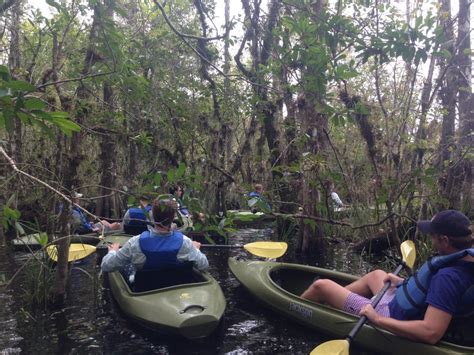 Everglades Tours | Eco Tours | Everglades Adventure Tours | Everglades ...