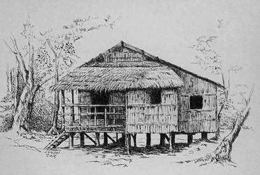 Nipa Hut Drawing at PaintingValley.com | Explore collection of Nipa Hut ...