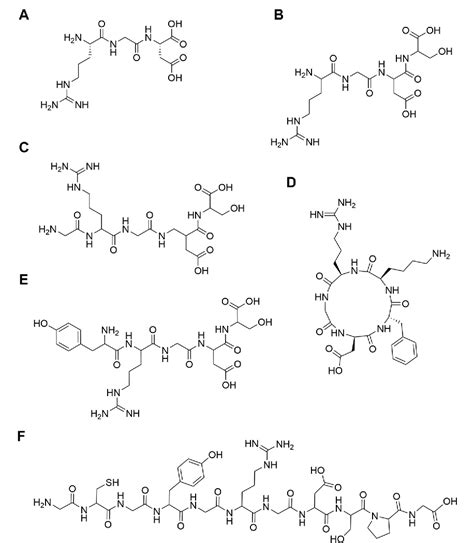 Function and Mechanism of RGD in Bone and Cartilage Tissue Engineering | Semantic Scholar