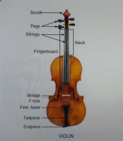 Beginners Guide to Carnatic Violin | Resources - SaPa music