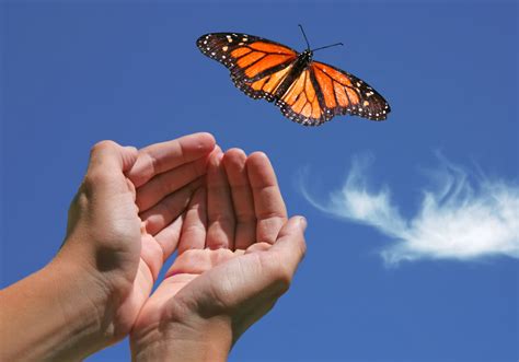 Letting Go of Anger through Compassion | Practice | Greater Good in Action