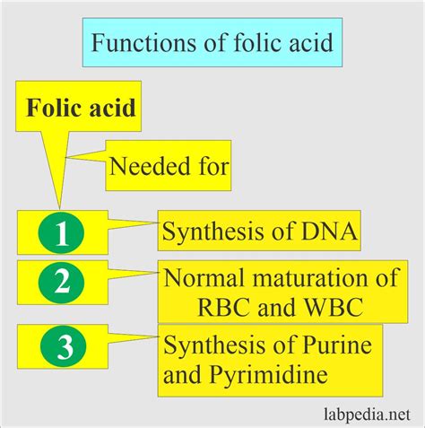 Folic Acid and Folate - Labpedia.net