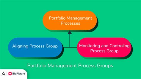 Guide to project portfolio management processes - BigPicture