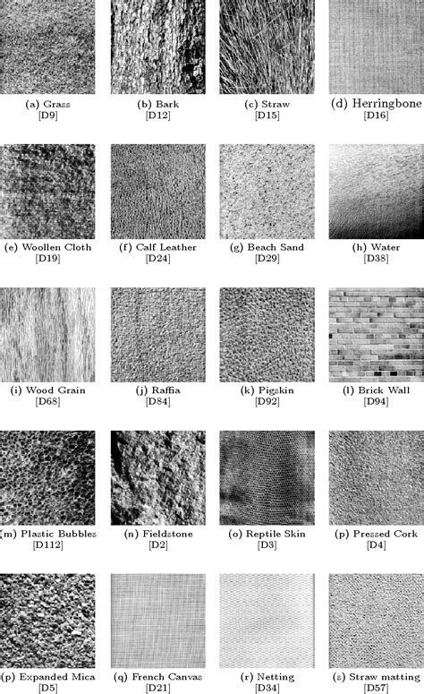 Figure 10.11 from Visual Texture Classification and Segmentation by Genetic Programming ...