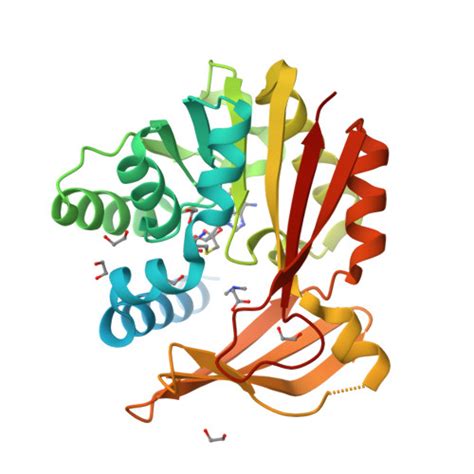 RCSB PDB - 5HIM: Crystal structure of glycine sarcosine N-methyltransferase from ...