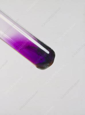 Iodine sublimation - Stock Image - A150/0313 - Science Photo Library