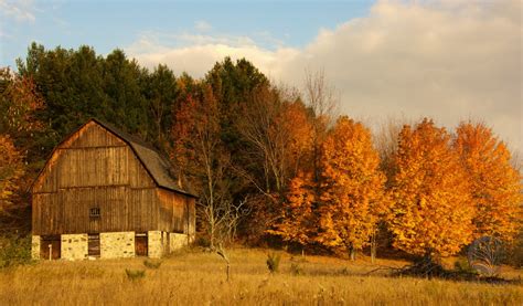 Michigan Fall Colors - Susan Onysko Photography