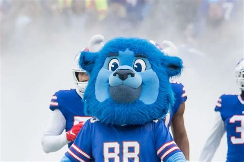 Meet Billy The Buffalo - Buffalo Bills Lovable Mascot