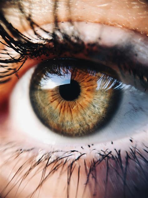 Human Eye · Free Stock Photo