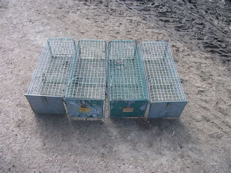 Live capture rabbit traps | The Farming Forum