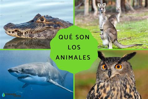 Los Animales