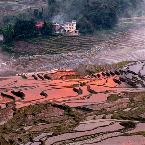 Rice Terraces | Terrace, Rice terraces, Outdoor