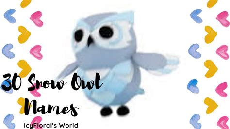 30 Snow Owl Names In Adopt Me! -IcyFloral's World - YouTube