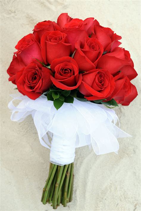 Solid red rose bouquet with white ribbon stem wrapping | Floral | Pinterest | Red rose bouquet ...