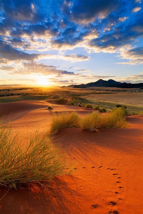 C4 Photo Safari: Intimate Namibia Landscapes 2016