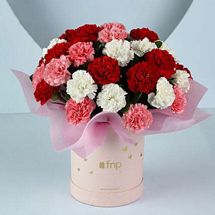 Buy/Send Spring Love Mixed Carnations Pink Box Online- FNP