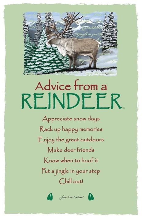 Advice from a Reindeer Frameable Art Card | Christmas quotes, Christmas ...