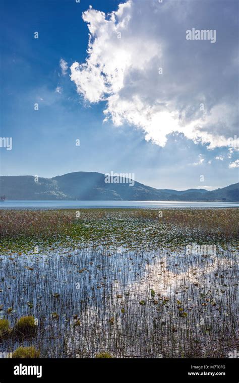 Turkey Bolu Abant Lake Landscape Stock Photo - Alamy