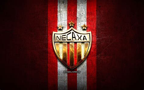 Necaxa Wallpapers - Top Free Necaxa Backgrounds - WallpaperAccess