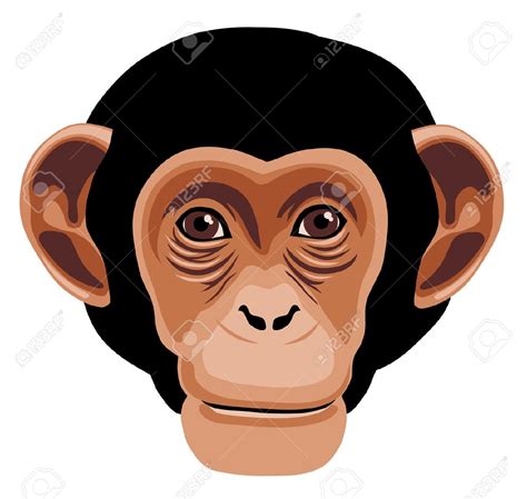 Monkey face clipart 21 - WikiClipArt