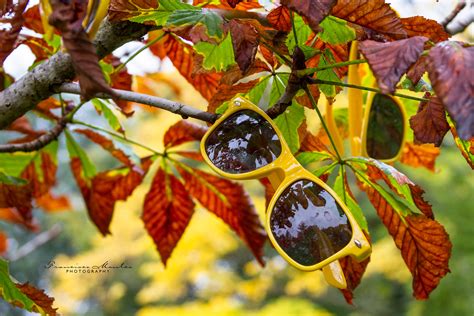 Cantigny Park on Behance