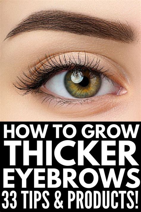 How to Grow Eyebrows Fast | 8 natural tips and 20 products to teach you how to grow your brows ...