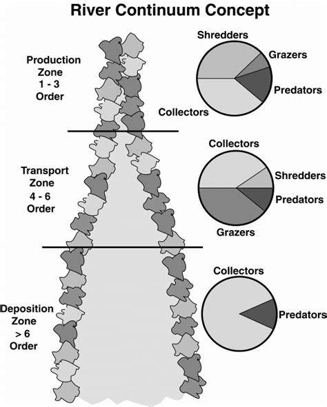 Diagram of the river continuum concept. (illustration from Schultz et... | Download Scientific ...