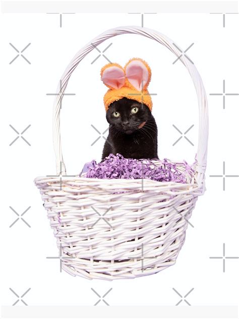 "Easter cat meme" Poster for Sale by TanujaSharma | Redbubble